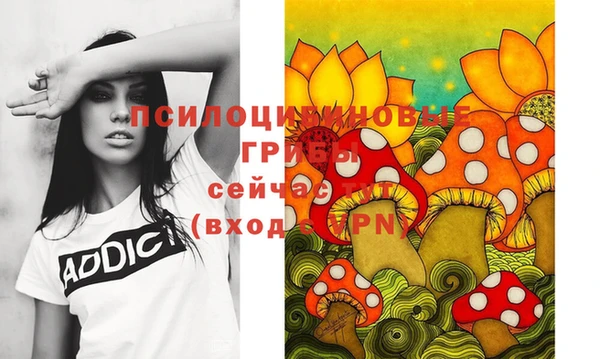 ешки Михайлов