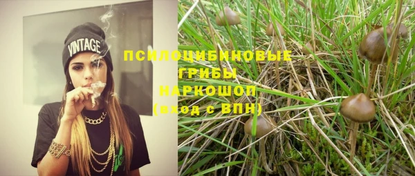 ешки Михайлов