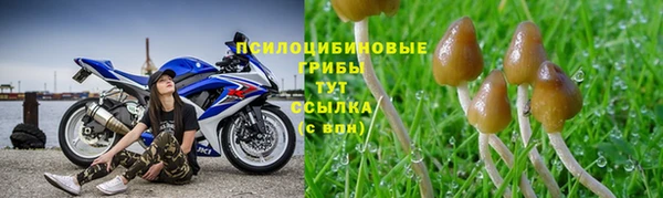 ешки Михайлов