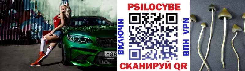 Псилоцибиновые грибы мухоморы  купить  сайты  Юрюзань 